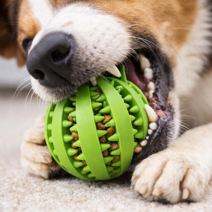 Kaviro™ Treat Ball