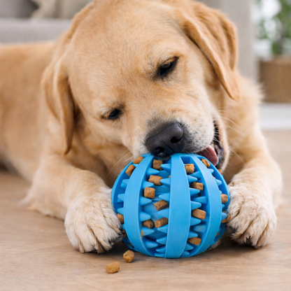 Kaviro™ Treat Ball
